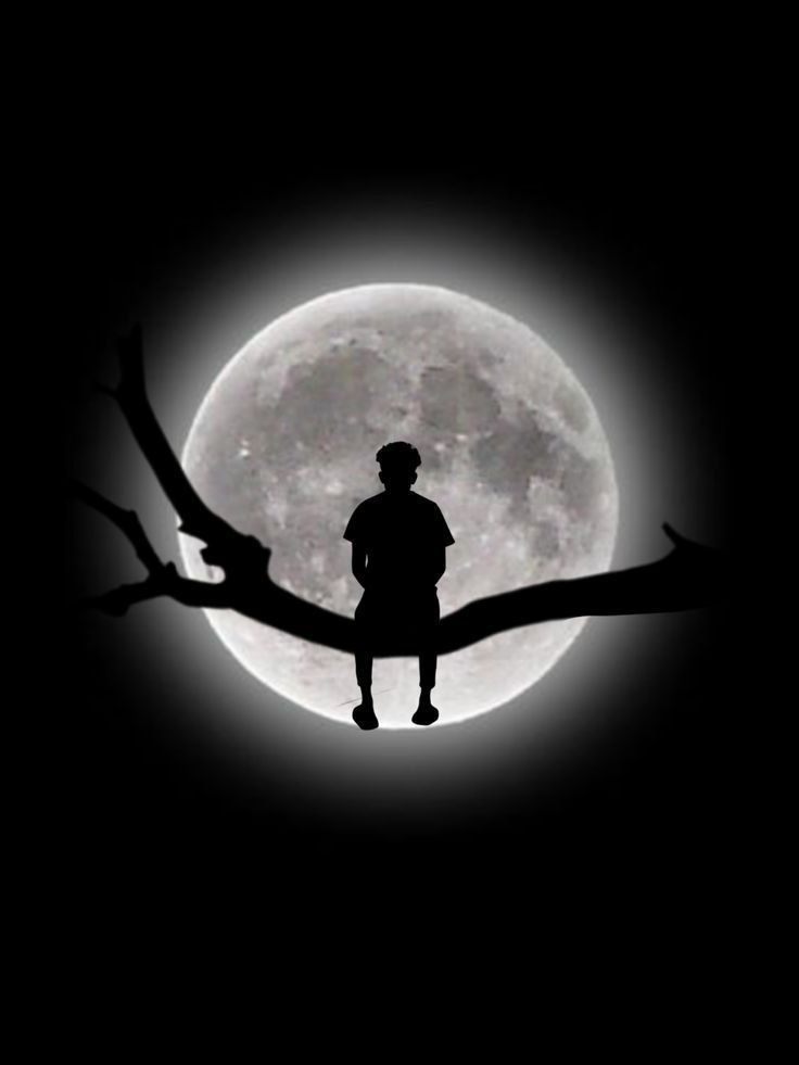 attitude dp (42) attitude dp (42)